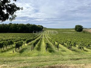A vendre, à 10 min de Duras, Propriété viticole de renommée