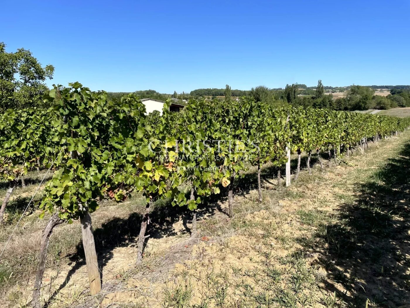 A vendre, à 10 min de Duras, Propriété viticole de renommée