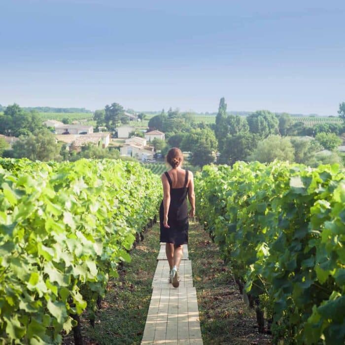 Growth Trend: Bordeaux Vineyard Tourism