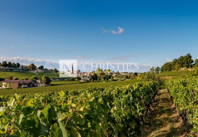Parcels of Saint-Emilion Grand Cru turnkey Vineyard investment