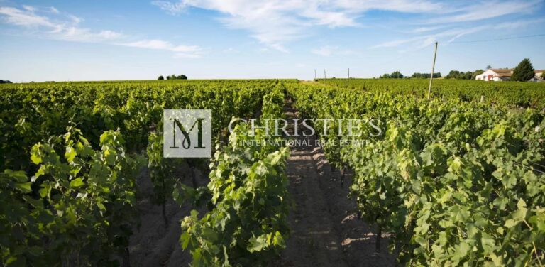 Very well-located Bordeaux vineyard estate