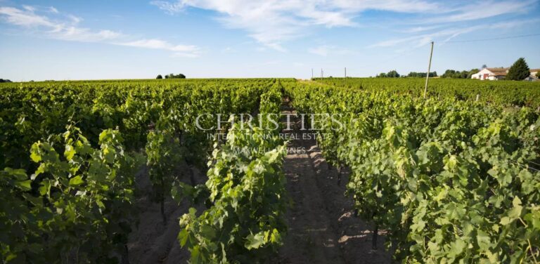 Domaine viticole en AOC Bordeaux / Bordeaux Supérieur très bien situé