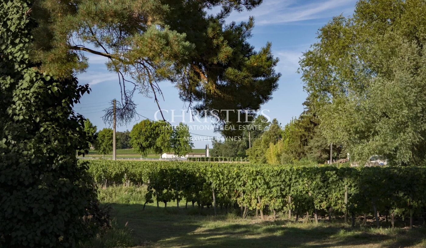 Domaine viticole en AOC Bordeaux / Bordeaux Supérieur très bien situé