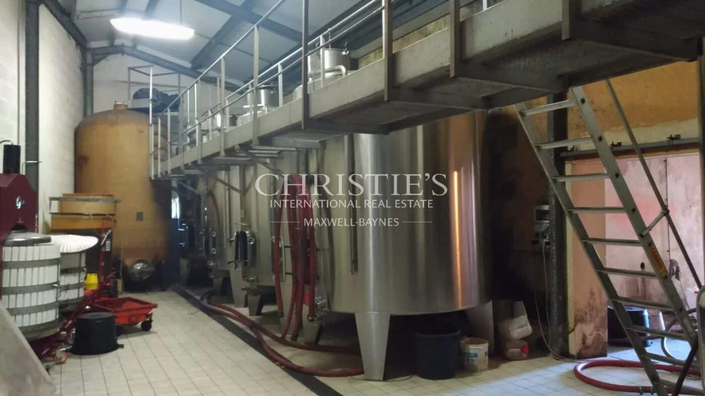 Propriété viticole dans un bel environnement avec Gîte