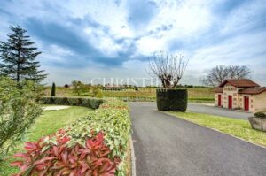 Vineyard estate for sale set in a beautiful environment with Gite