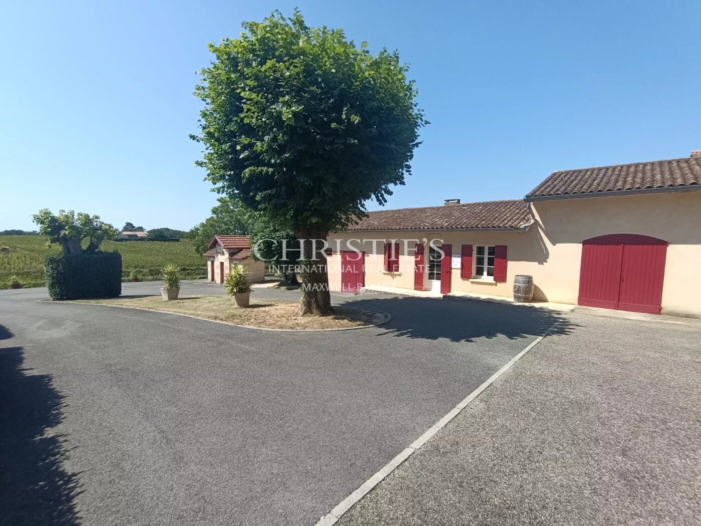 Vineyard estate for sale set in a beautiful environment with Gite