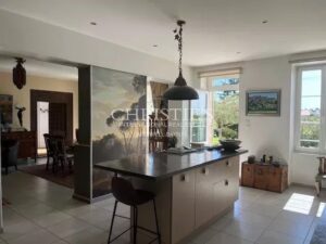 Vineyard estate for sale set in a beautiful environment with Gite