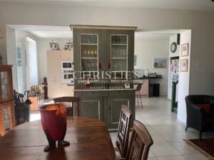 Vineyard estate for sale set in a beautiful environment with Gite