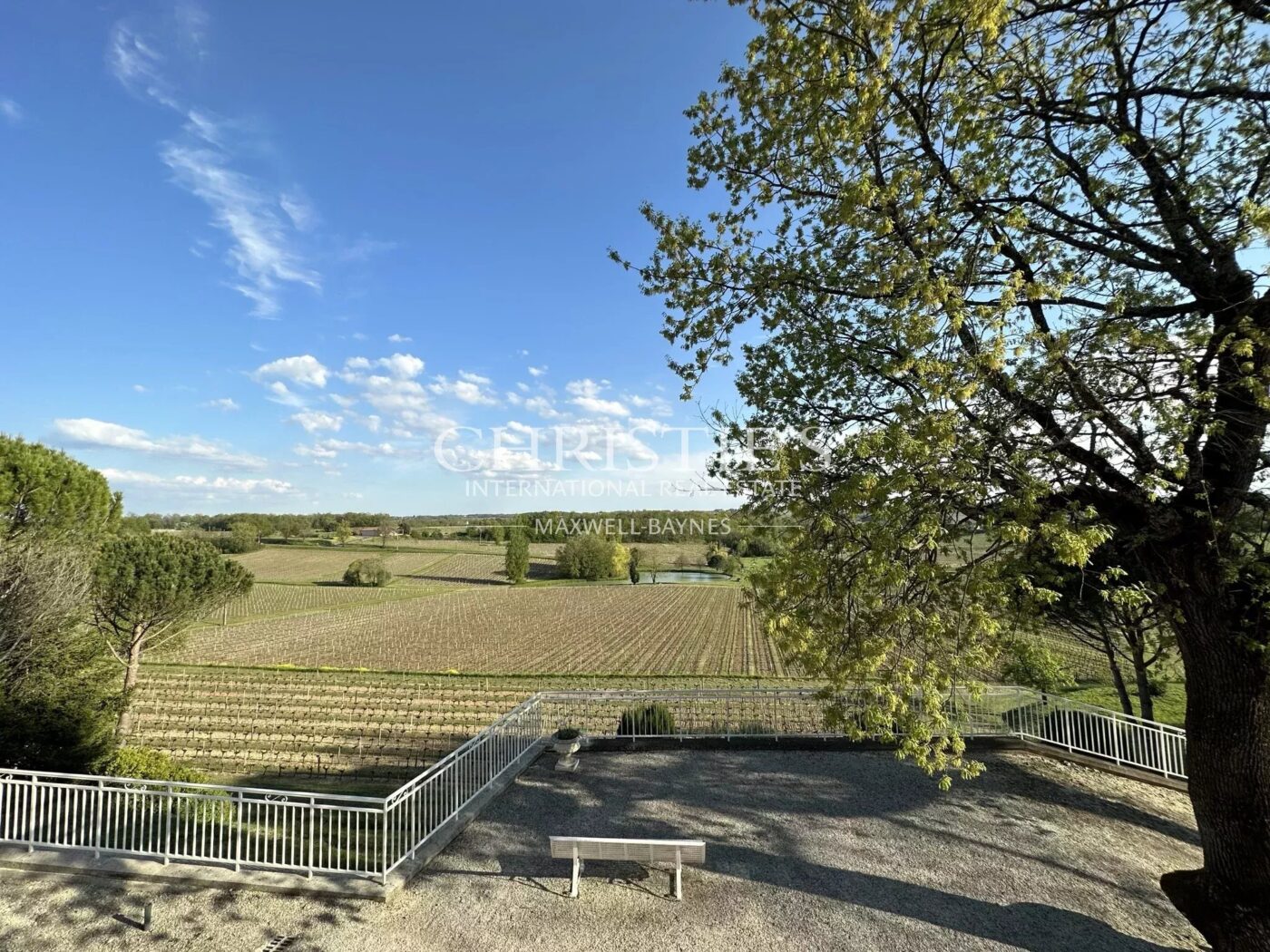 Wine estate for sale - satellite of Saint-Émilion, approx. 17 ha