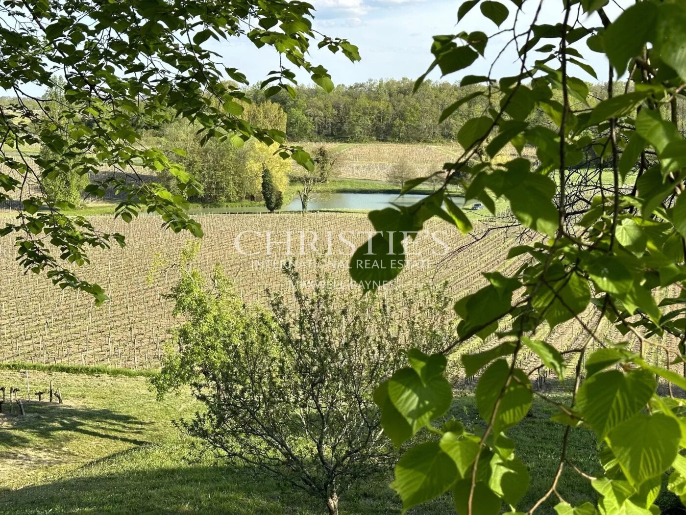 Wine estate for sale - satellite of Saint-Émilion, approx. 17 ha