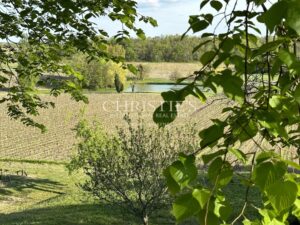 Wine estate for sale - satellite of Saint-Émilion, approx. 17 ha