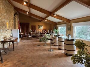 Wine estate for sale - satellite of Saint-Émilion, approx. 17 ha