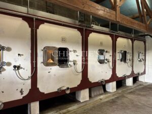 Wine estate for sale - satellite of Saint-Émilion, approx. 17 ha