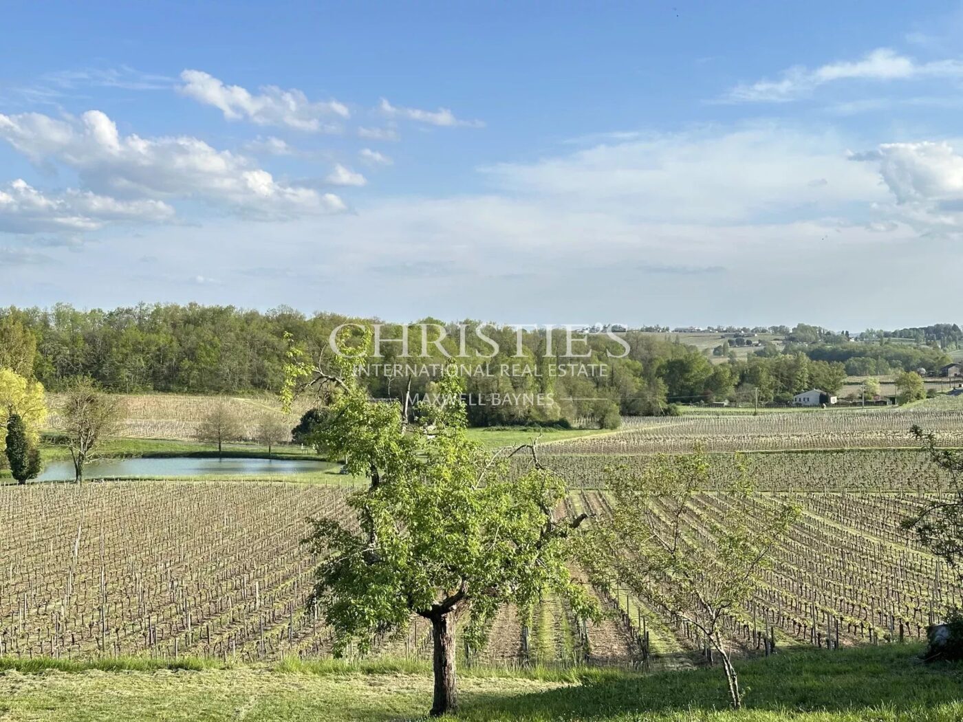 Wine estate for sale - satellite of Saint-Émilion, approx. 17 ha