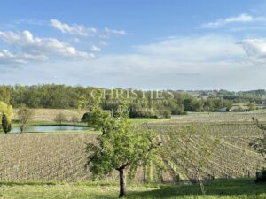 Wine estate for sale - satellite of Saint-Émilion, approx. 17 ha