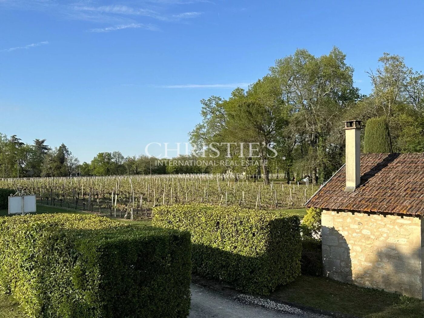 Wine estate for sale - satellite of Saint-Émilion, approx. 17 ha