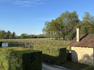 Wine estate for sale - satellite of Saint-Émilion, approx. 17 ha