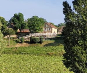 Wine estate for sale - satellite of Saint-Émilion, approx. 17 ha