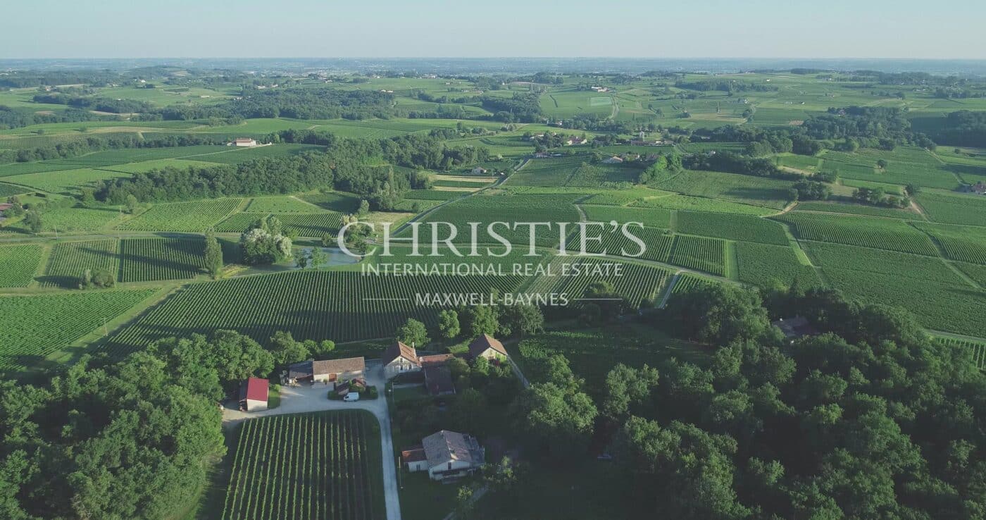 Wine estate for sale - satellite of Saint-Émilion, approx. 17 ha