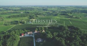 Wine estate for sale - satellite of Saint-Émilion, approx. 17 ha