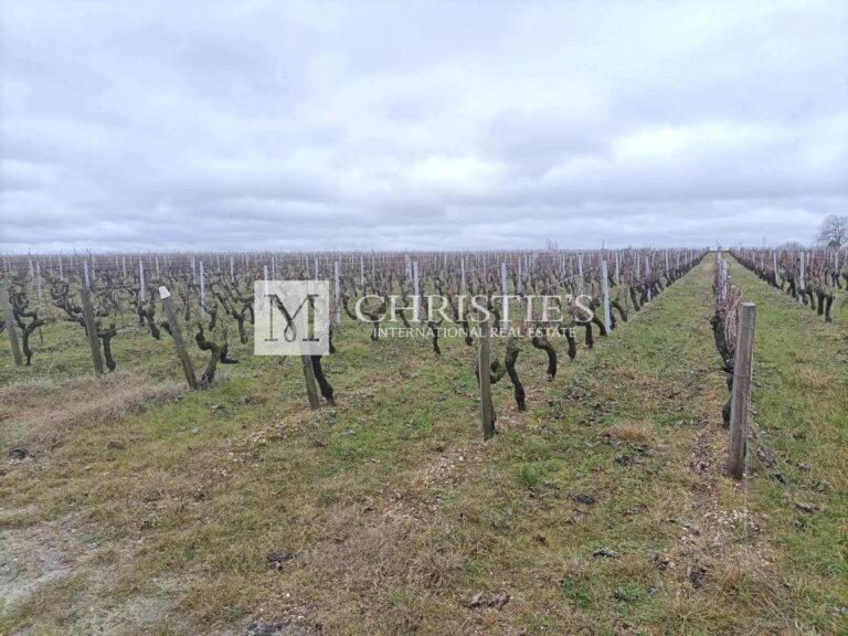 For sale  26,7820 hectares -  Haut Médoc vines