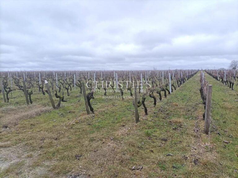 A vendre 26,7820 ha d'un seul tenant - AOC Haut Médoc