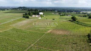 待售酒庄:葡萄园面积15公顷,拥有2个法定产区(AOC),位于利布尔讷(Libourne)附近