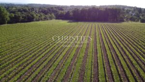 A vendre - Vignoble en AOC Pécharmant et Rosette