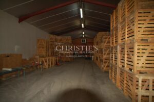 出售 - AOC Pécharmant 和 Rosette 产区的葡萄园,维护良好