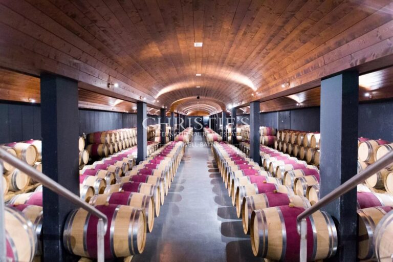 For sale a magnificent 75 ha property in AOC Blaye Côtes de Bordeaux