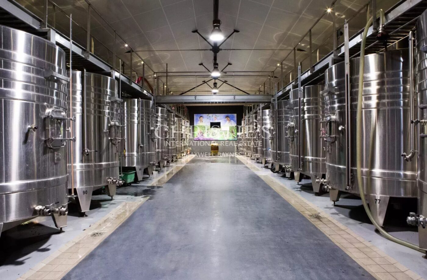 A vendre magnifique propriété de 75 ha en AOC Blaye Côtes de Bordeaux