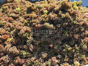 For sale a magnificent 75 ha property in AOC Blaye Côtes de Bordeaux