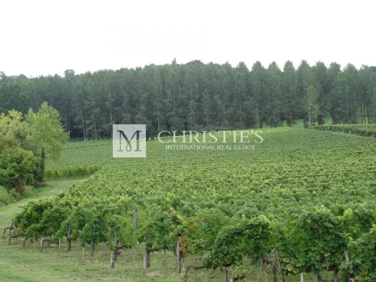 A vendre domaine viticole de 14 ha d'un seul tenant en plein cœur de l'AOC Côtes de Bourg