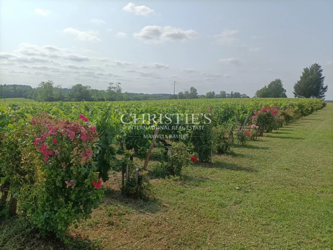 For sale charming 8 ha vineyard estate near Saint-Emilion