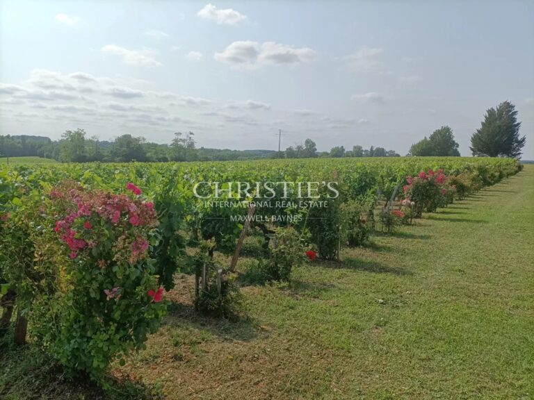 For sale charming 8 ha vineyard estate near Saint-Emilion