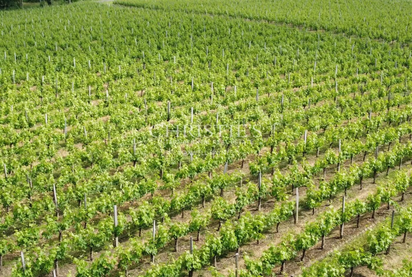 出售：拥有石屋、维护良好且享有盛誉的葡萄园酒庄