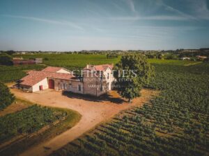 À vendre – Domaine viticole bordelais emblématique au terroir d’exception