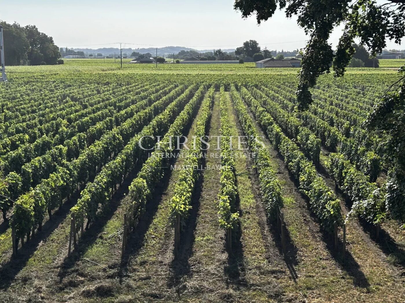 À vendre – Domaine viticole bordelais emblématique au terroir d’exception