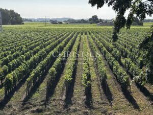 À vendre – Domaine viticole bordelais emblématique au terroir d’exception
