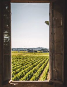À vendre – Domaine viticole bordelais emblématique au terroir d’exception