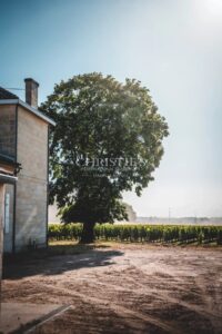 À vendre – Domaine viticole bordelais emblématique au terroir d’exception