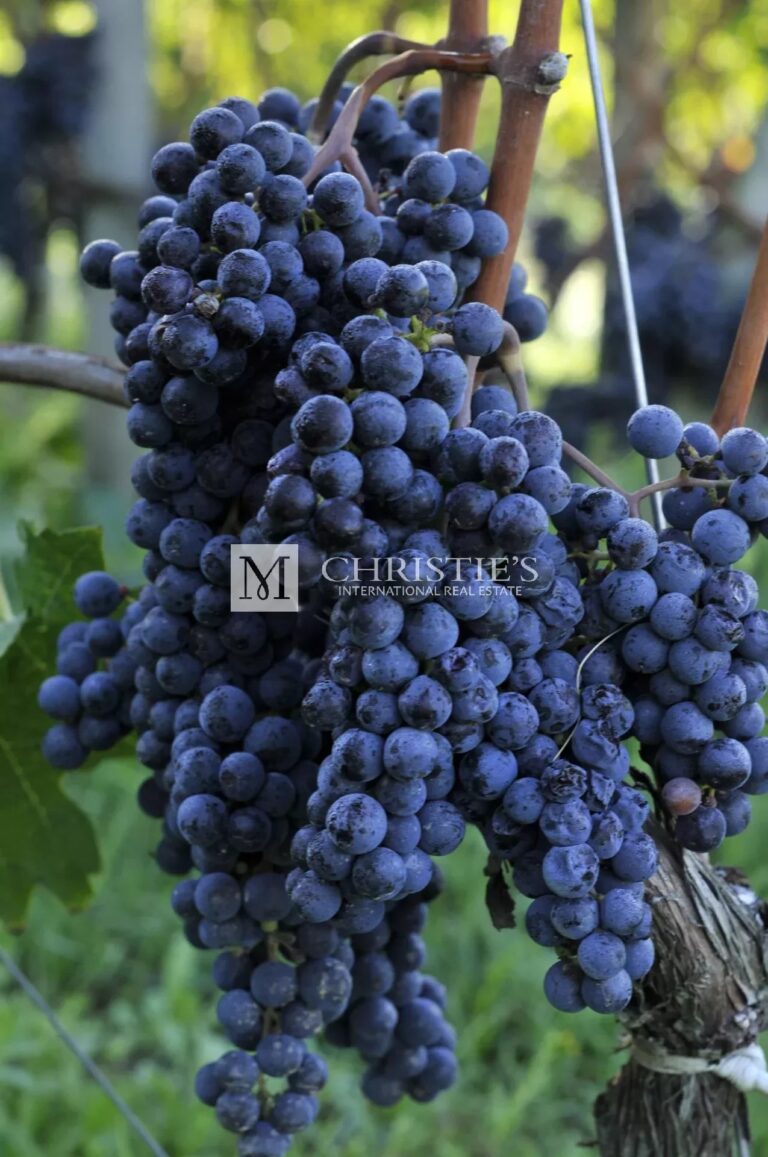 For sale  Bordeaux notable right bank vineyard estate