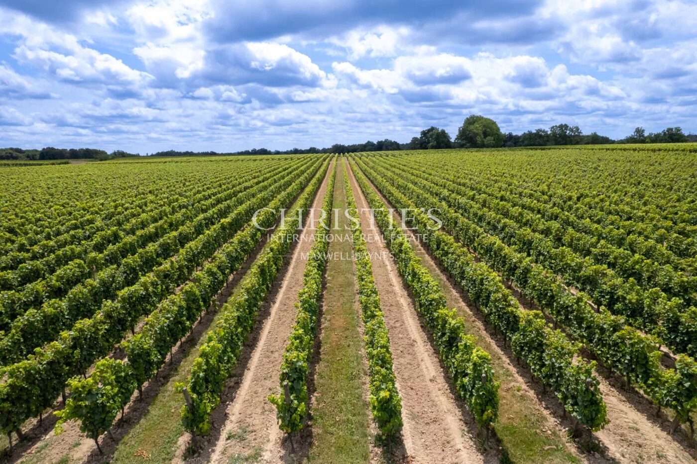 A vendre Entre-Deux-Mers très beau domaine viticole avec un excellent terroir, des vins de qualité et un beau Château