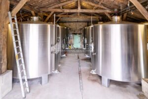 A vendre Entre-Deux-Mers très beau domaine viticole avec un excellent terroir, des vins de qualité et un beau Château