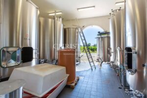 A vendre rare et magnifique domaine viticole sur les rives de la Dordogne près de Saint-Emilion