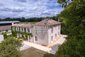 出售:位于安特尔-德梅尔地区的迷人酒庄,拥有优质土壤、优质葡萄酒和美丽的城堡住宅