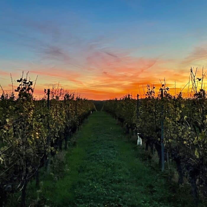 Bordeaux Vineyards For Sale – Acquisition Categories