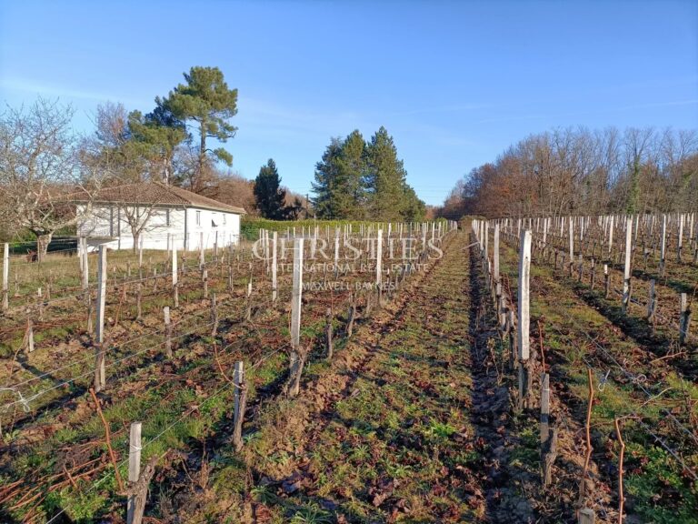 Small vineyard estate for sale of 6.86 ha with farm buildings in excellent condition