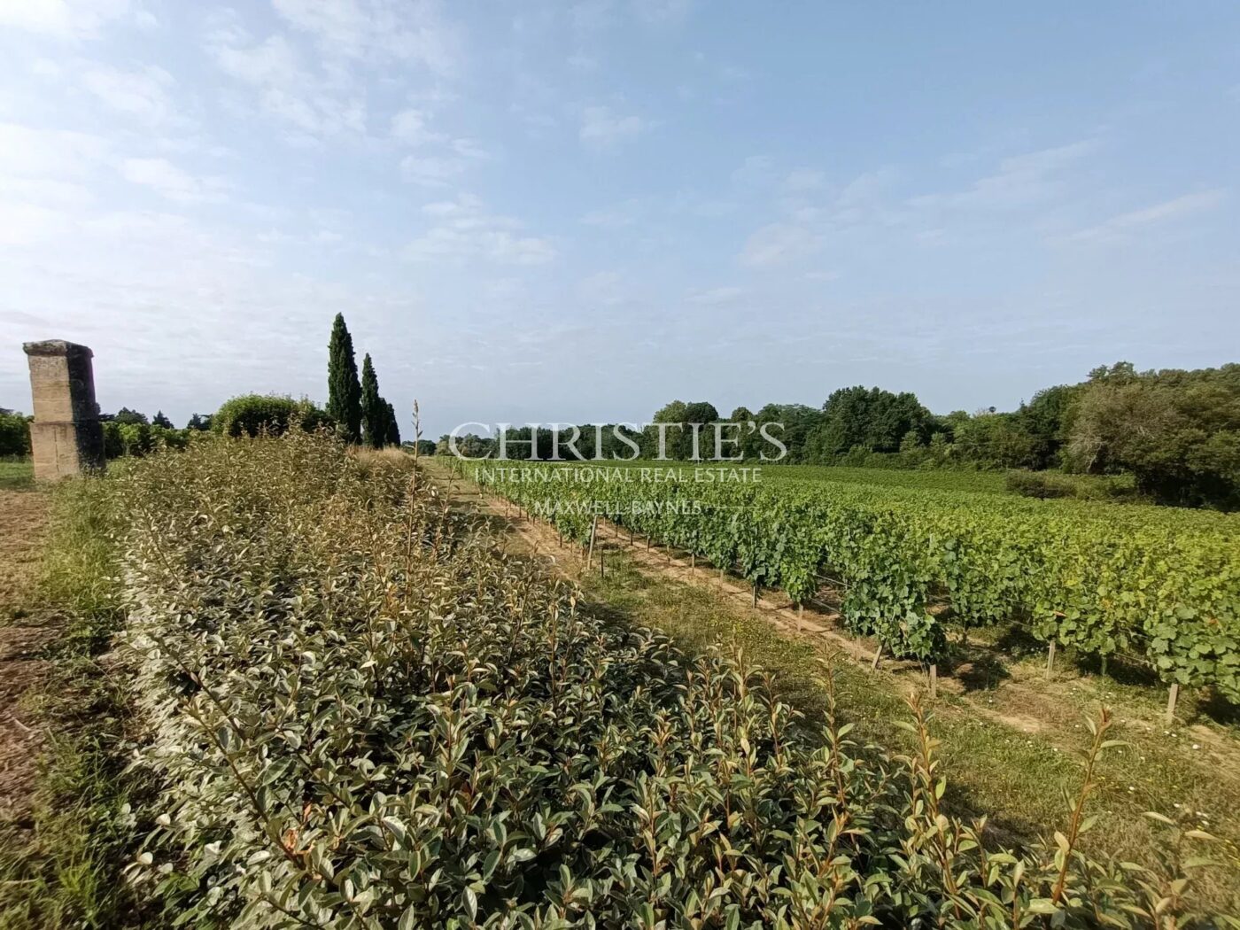 Petite propriété viticole de 6.86 hectares avec bâtiments d'exploitation en excellent état à vendre