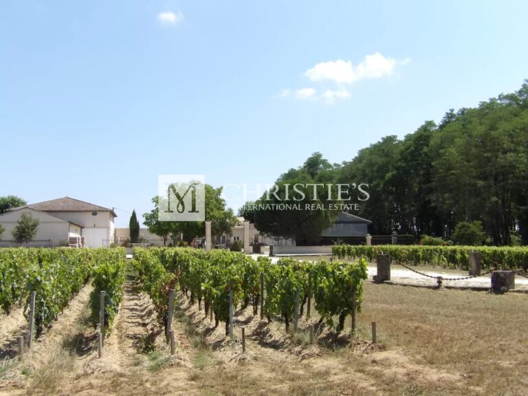 A la vente propriété viticole - 9 ha en Haut Médoc - Bel outil de production